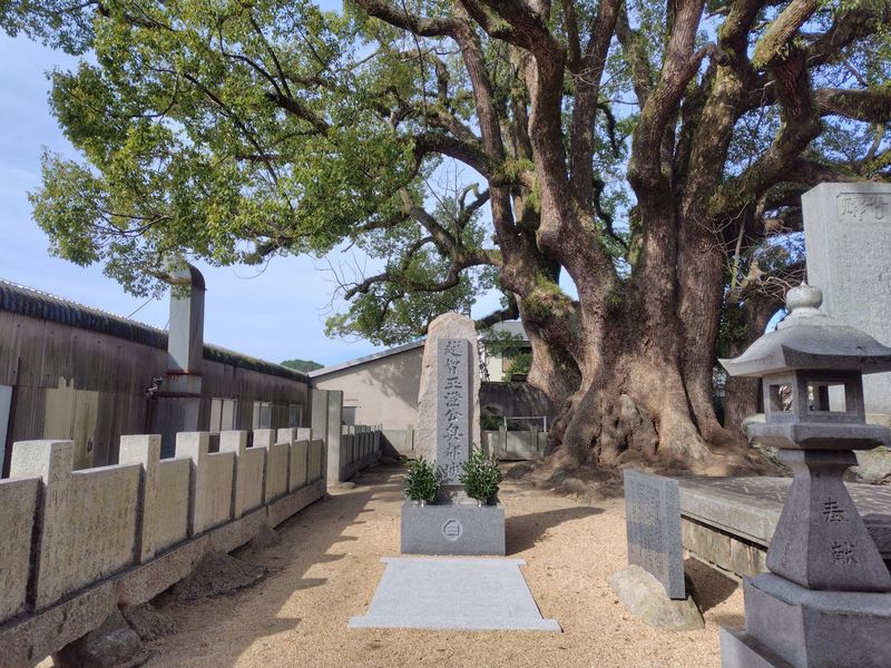 日本の墓：著名人のお墓：大山巌