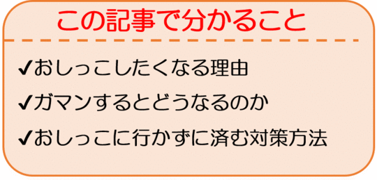 十六夜咲夜 手マン]咲夜が後ろから手マンをされて潮吹きアクメしたり、妖夢が正常位で犯されて膣内射精されてしまう… |