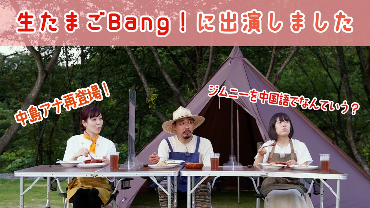 楽しい中国語・天价