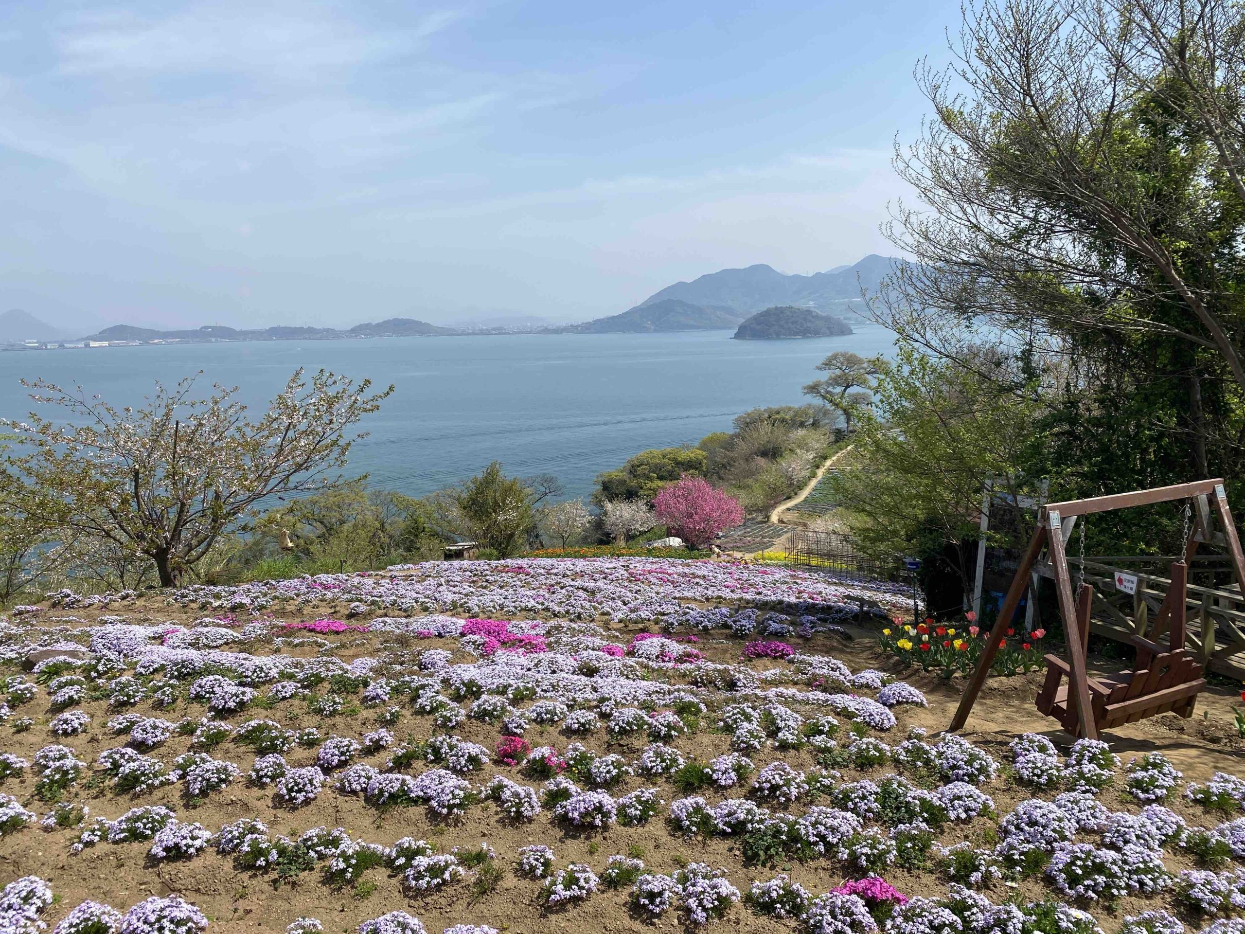 交通手段とアクセス - TIDA Resort Yakushima