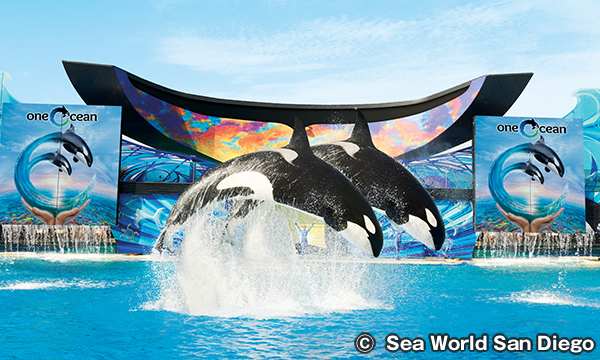 サンディエゴシーワールド チケットKlook