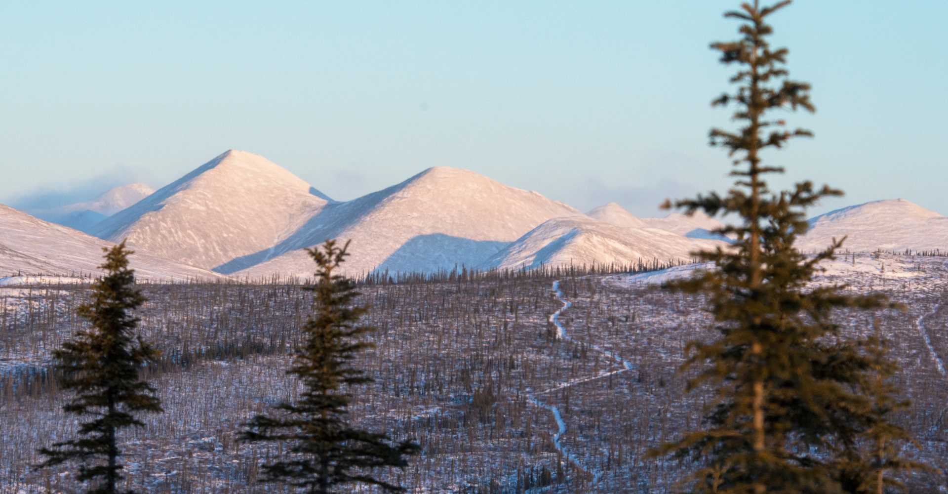 地球上で、残っている広大な未開拓地。といえば。海。ここにぷかぷかと浮かべる巨大クラゲ。ファンタジーでエコロジーで。わくわくする。なと。 :僕の心の雑記帳更新終了