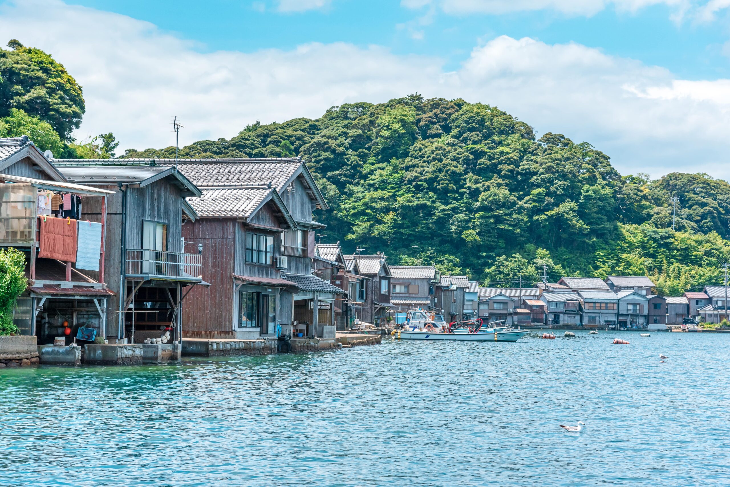 水上からの東京の景色 東京の観光公式サイトGO TOKYO
