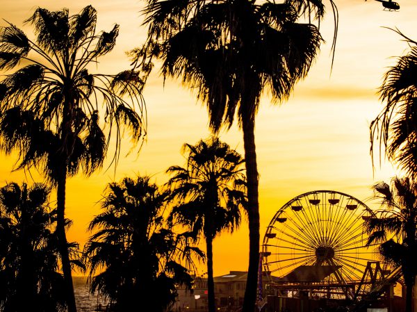 27,778,433 California Stock