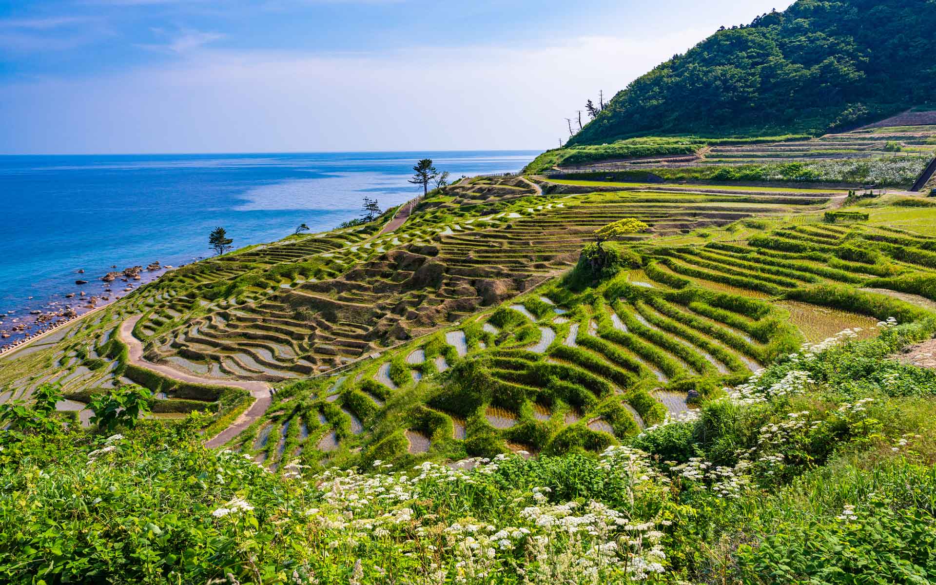 和倉温泉総湯Trip.com 七尾