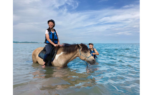 ふるさと納税乗るだけの乗馬から、馬と一緒に楽しむ乗馬へ 三浦の