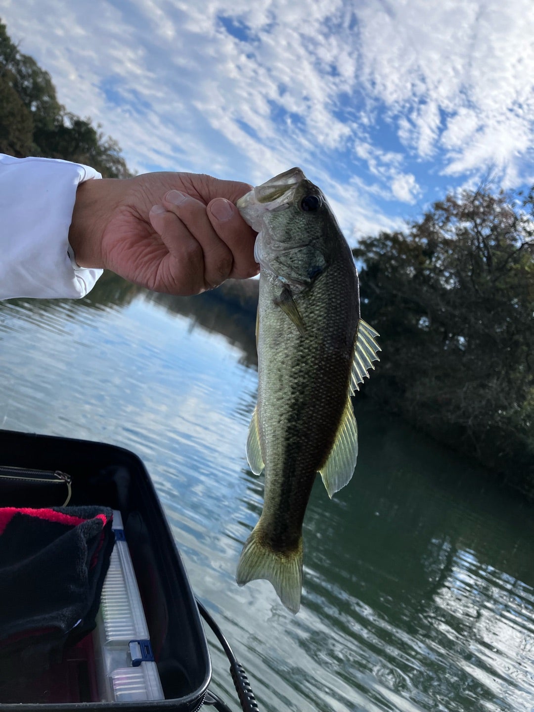 錫杖湖 三重県津- 水辺遍路