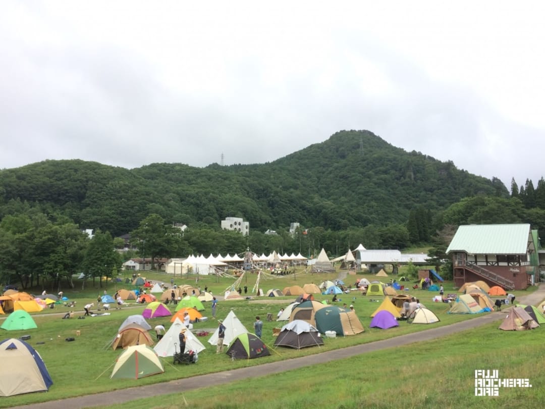 FUJI ROCK FESTIVAL'24NEWS