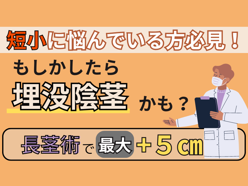 肥満でペニスが短くなった人必見！短小ペニス改善法 – メンズ形成外科 |