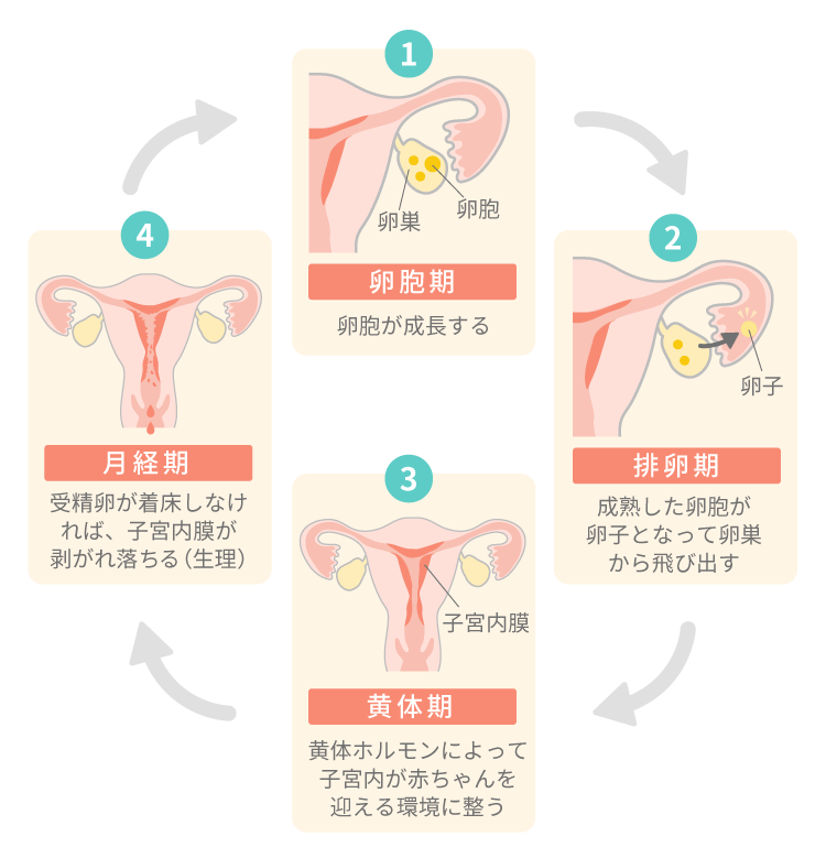 手マンの正しいやり方とは？女性が気持ちいいと感じるコツやテクニックを徹底解説｜風じゃマガジン