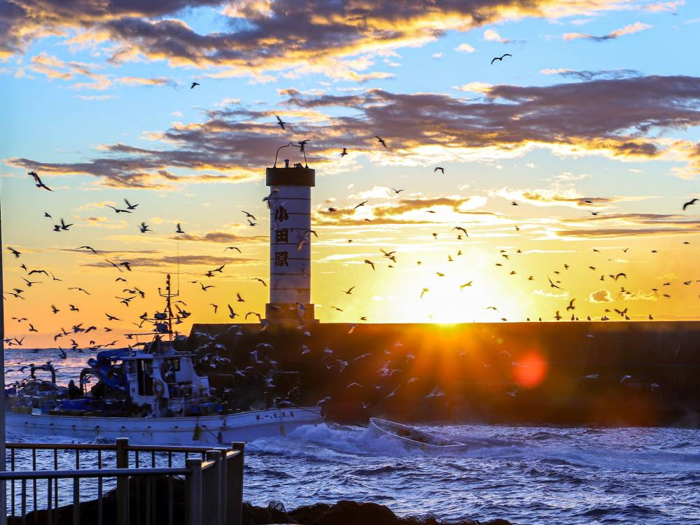 箱根・小田原の初日の出スポット13選 2025 富士山が拝める場所も小田原オウンドメディア