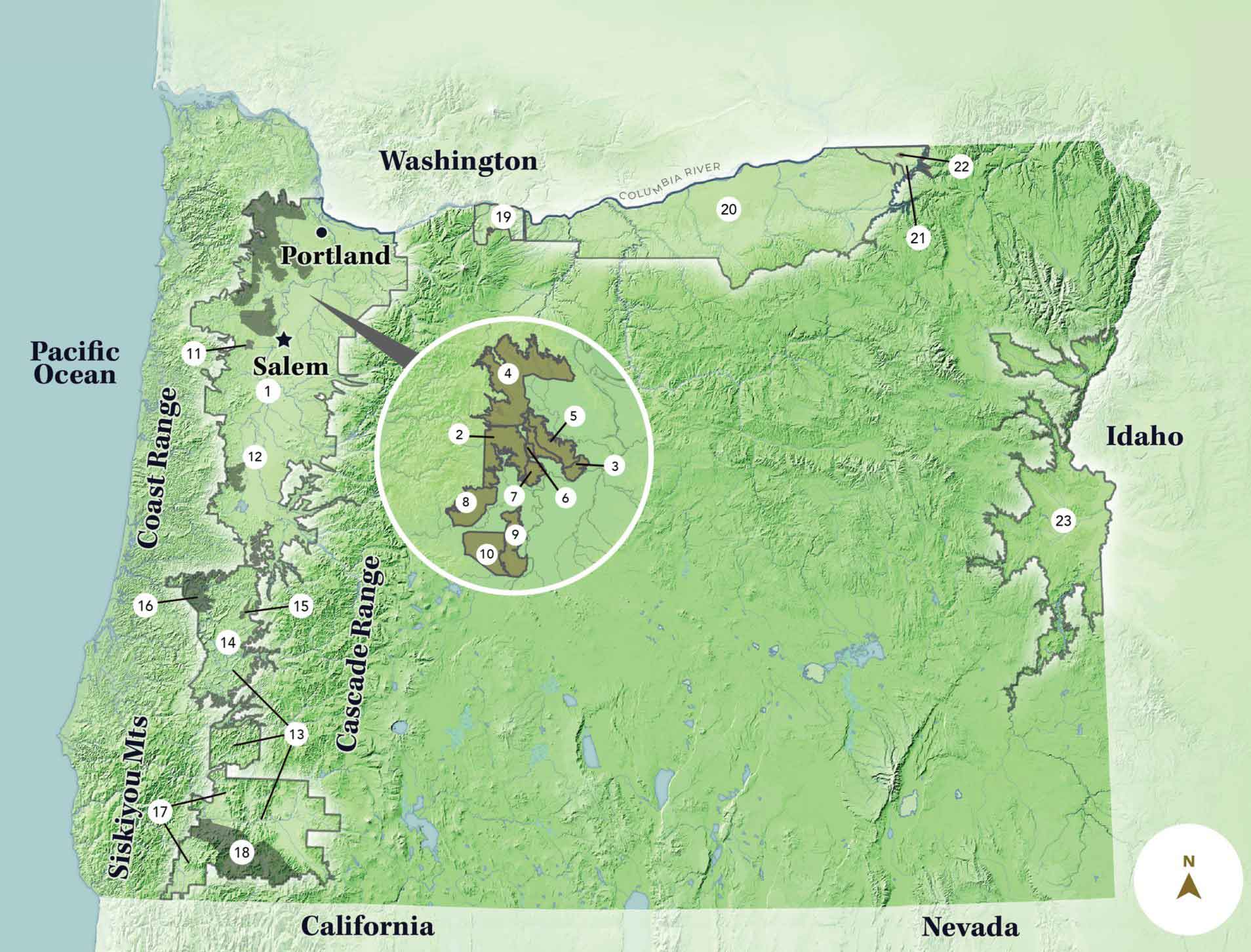 １１＞持ち寄り新年会でワイワイ飲むなら？ ～ピノ・ノワール３～朝日新聞デジタルマガジン＆ and