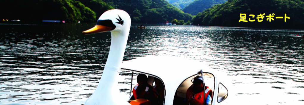 相模原市 「足こぎスワン世界大会」参加者募集中！相模湖でユニークなイベントを開催相模原市役所のプレスリリース