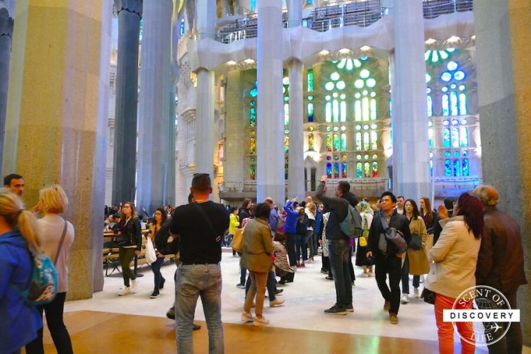 サグラダファミリア 内部とステンドグラスを徹底解説 - Amazing