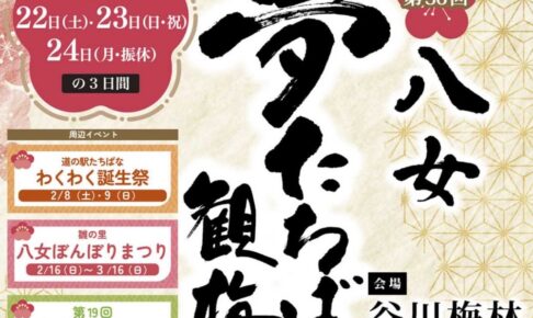 第34回夢たちばな観梅会〜梅の開花状況〜八女市観光協会立花支部
