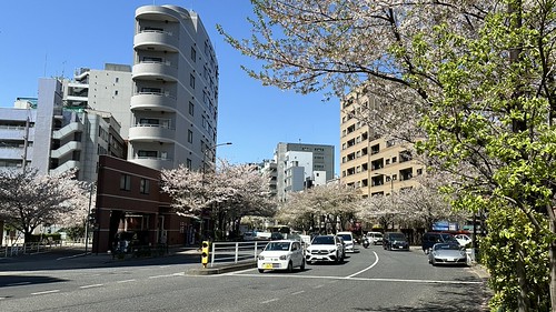 東京都立広尾高等学校 on X: 