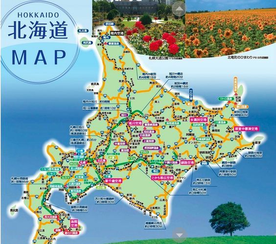 北海道 小樽 マップ旅をおもしろくする観光地図 今八