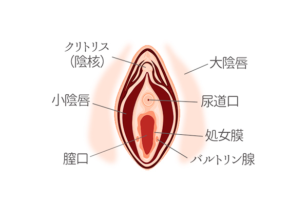 女性が気持ちいいと感じる上手な手マンのやり方やコツを徹底解説！｜駅ちか！風俗雑記帳