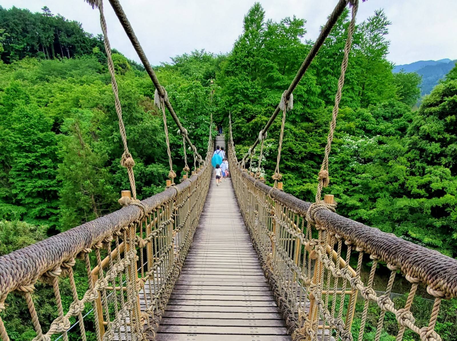 関東 ゴールデンウィークにおすすめの穴場スポット24選びゅうトラベル JR東日本
