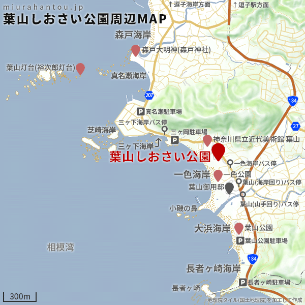 葉山のビーチ＆海浜公園12選海水浴場・磯遊び・芝生広場・駐車場ガイド