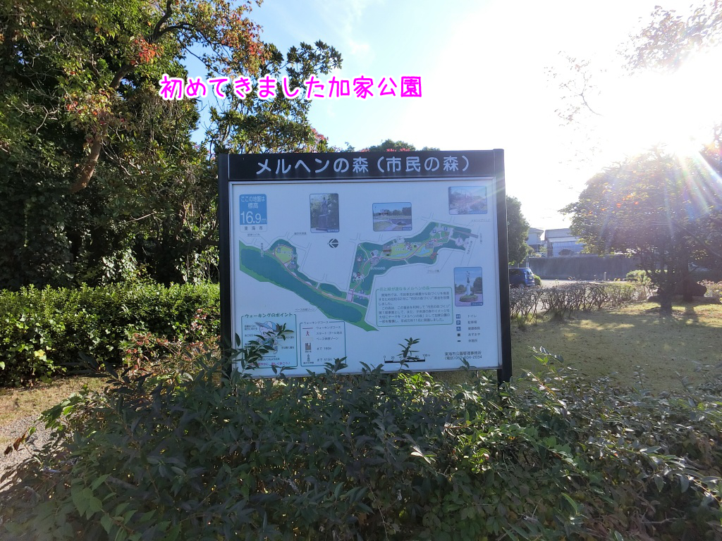 駐車場や入場料が無料で、もうすぐ３ 』大池公園 東海市 のyuunagoyaさんの口コミ子供とお出かけ情報「いこーよ」