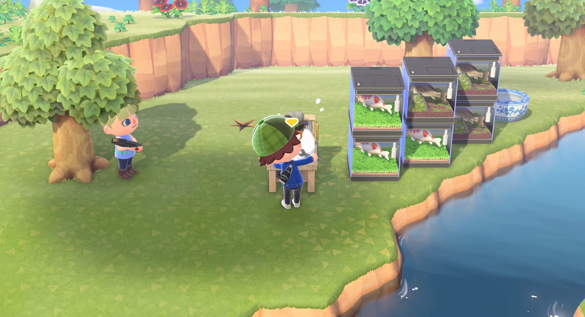 あつ森 ローカル通信で遊んだよダイコンブ