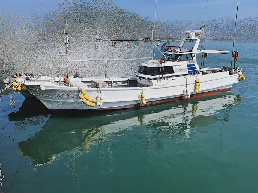 戸田造船 遊漁船 5トン未満船ネット