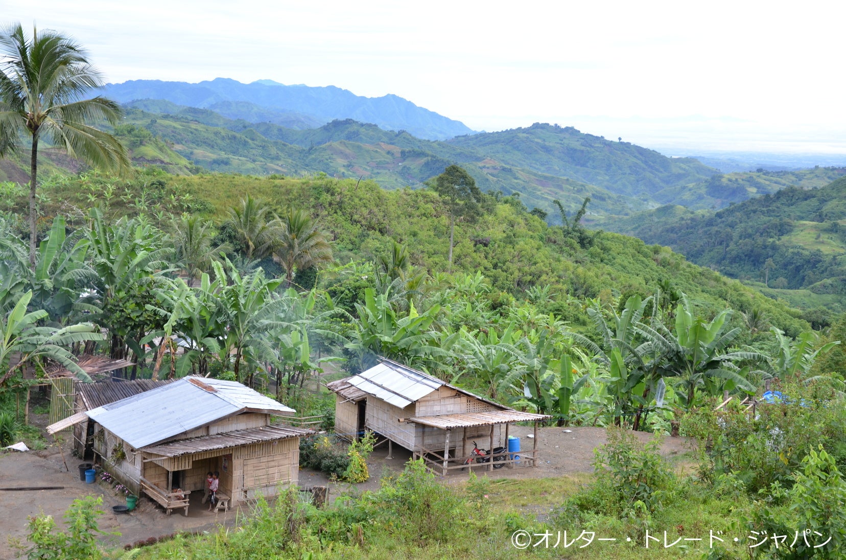 フィリピンの田舎、プエルト』パラワン島 フィリピン の旅行記・ブログ by escapeさん