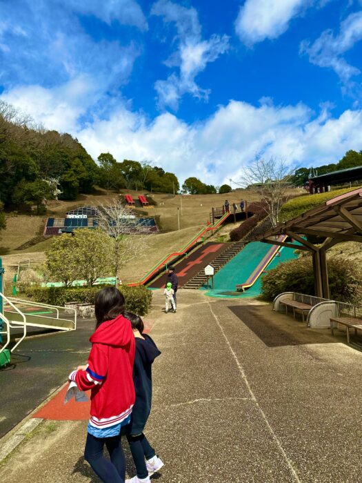 お土産にきな粉餅。 一宮市のだるまやさん。 柔らかいお餅に