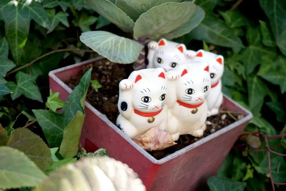 招き猫を待受に！縁結びで有名な浅草「今戸神社」で恋を招こうオリコンニュース ORICON NEWS