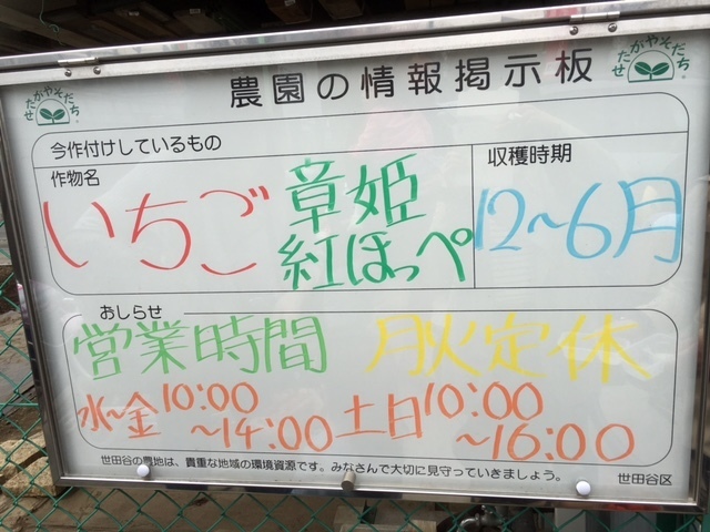 東京都「世田谷いちご熟」で家族といちご狩り - 快適！レンタカーお出かけライフ@板橋