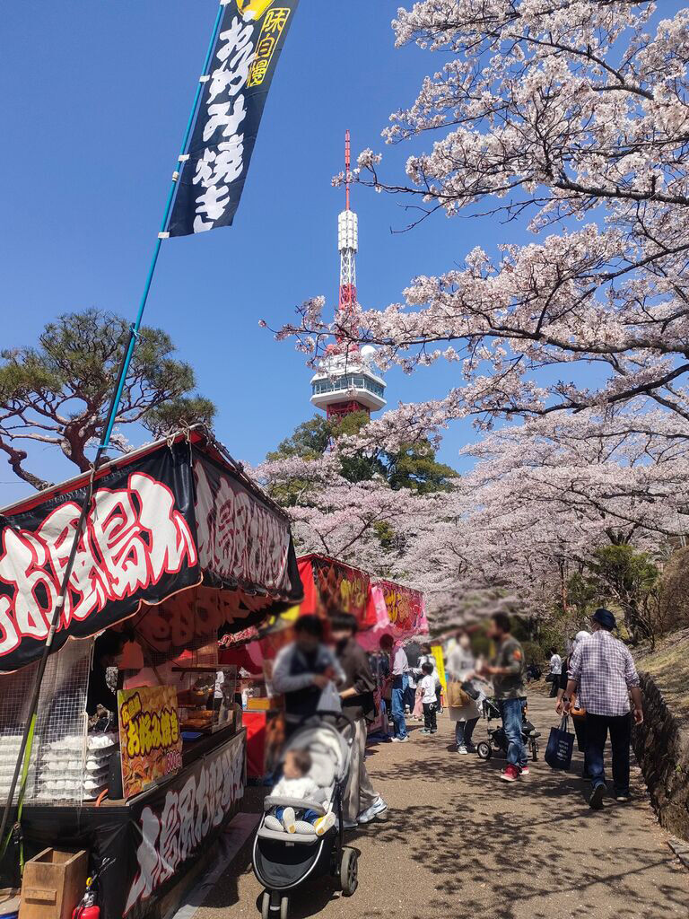 八幡山公園の桜 アクセス・営業時間・料金情報 -