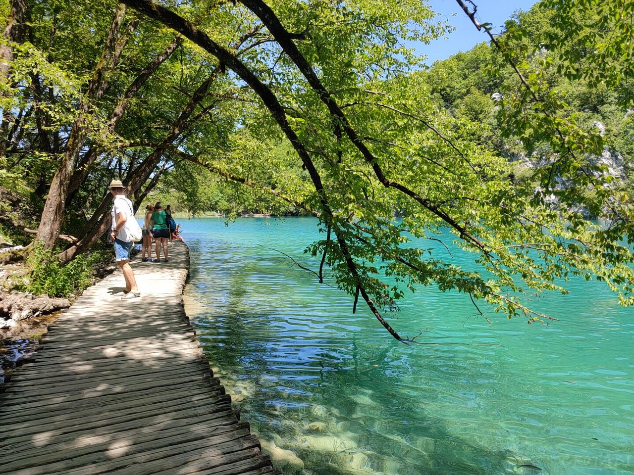 プリトヴィツェ湖群国立公園のガイドブッククロアチア旅行専門・クロアチアツアーズ