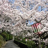 安来節屋の今日・明日の天気 週末の天気・紫外線情報【お出かけスポット天気】 - 日本気象協会 tenki.jp