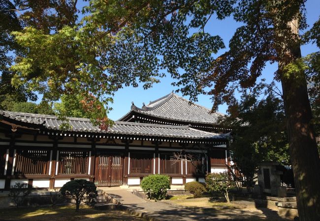 京都市伏見区 伏見区最果ての地、日野誕生院で紅葉を楽しんできた。号外NET 伏見区