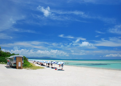 家族の夏休み 親子で「海を堪能する」アクティビティ３＋１LeaLea Web