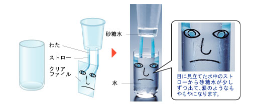 Gibbs現象（ギブス現象）