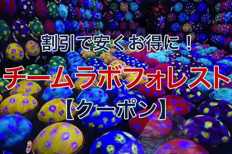 チームラボフォレスト 福岡 –