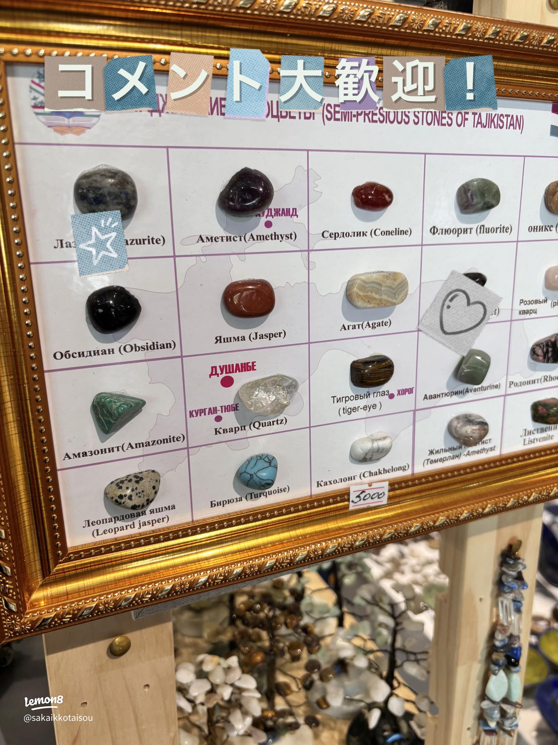 タイパビリオン！美容・医療・食事をテーマに展示360@旅行ナビ