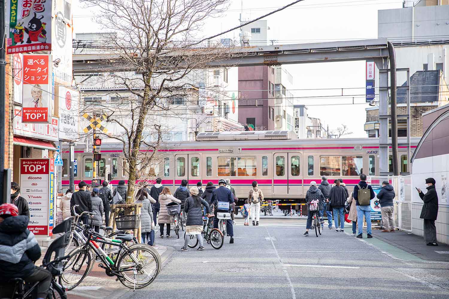 桜(千歳烏山)のクチコミ情報 - ゴーメンズエステ