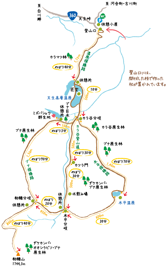 湿原に咲く純白の妖精。ミズバショウをめでるハイキングコース - 山と溪谷オンライン