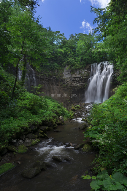 滝野すずらん丘陵公園 アクセス・営業時間・料金情報 -