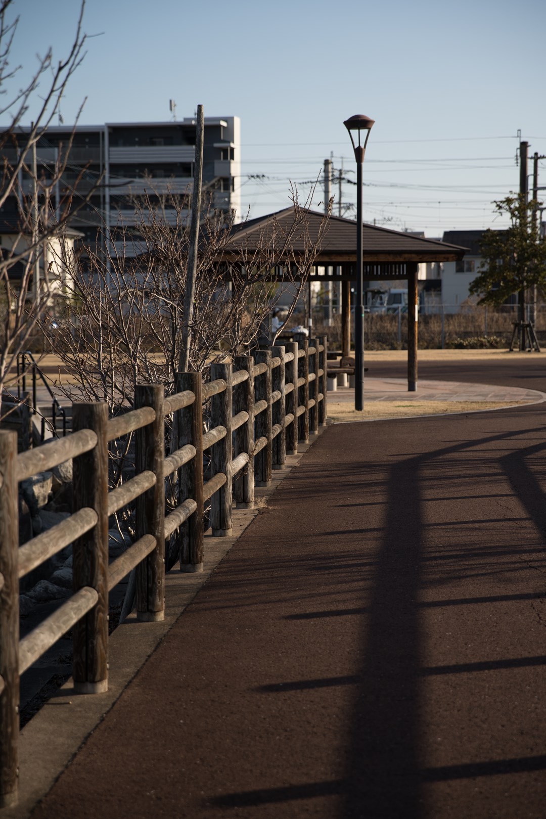 佐賀市 トンボの池公園でライトアップイベント開催！12 24 日
