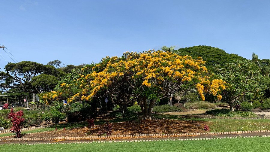 ワイキキで手軽にウォーキング「カピオラニ公園」を1周してみた！スタッフブログたびらば 旅ＬＯＶＥＲ海外旅行情報サイト