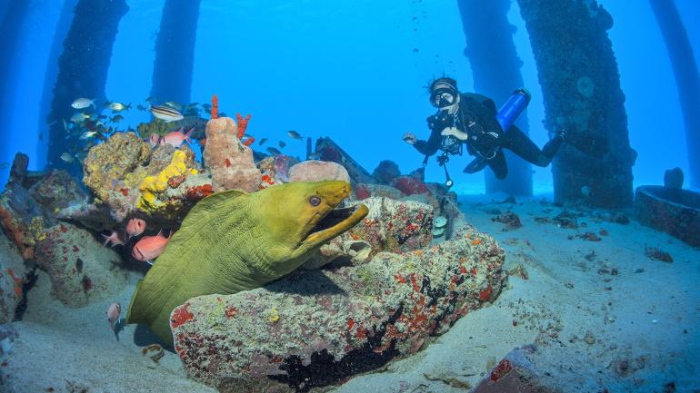 セントクロイ島Visit The USA