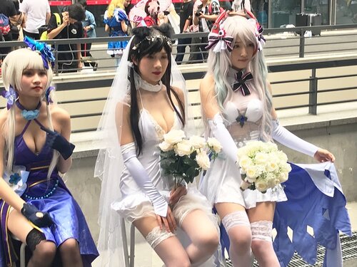 盗撮]イベントパンチラ画像!コミケにきたエロコスプレイヤーのパンチラを盗撮 Part09 Peep -