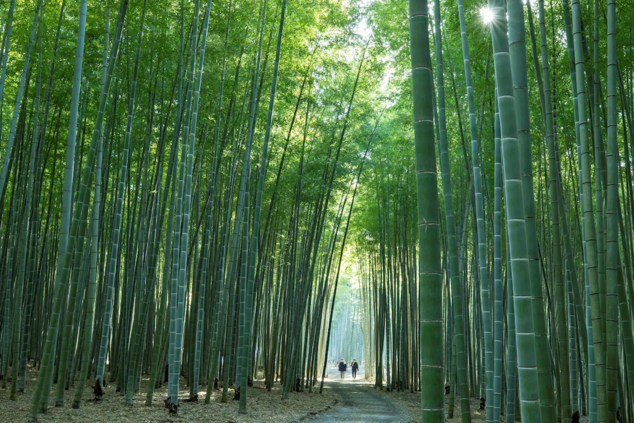ひとり旅でふらっと訪ねたい！ 「関東の日帰り温泉」５選 源泉かけ流し高橋一喜- エキスパート