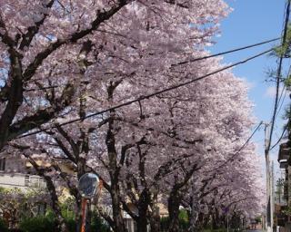 塗装現場日誌＞千葉県四街道市鷹の台4丁目・O様邸（第1回）～高圧洗浄～【千葉市若葉区外壁屋根塗装・株式会社雅】 | 千葉市若葉区の外壁塗装専門店【株式会社  雅】屋根塗装、雨漏り修理