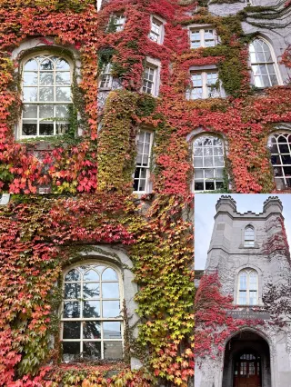 ハミルトン観光ガイド～定番人気スポットを参考に自分にピッタリの観光プランを立てよう！エクスペディア