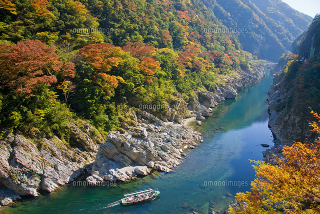 大歩危峡観光遊覧船DIIIG